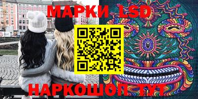 дмт Краснодар