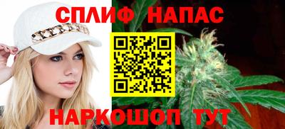 дмт Краснодар