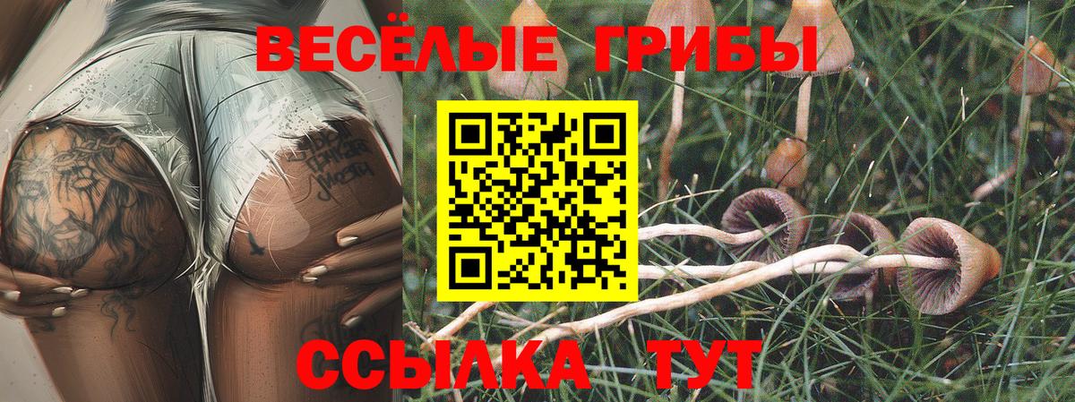 Галлюциногенные грибы прущие грибы Елец