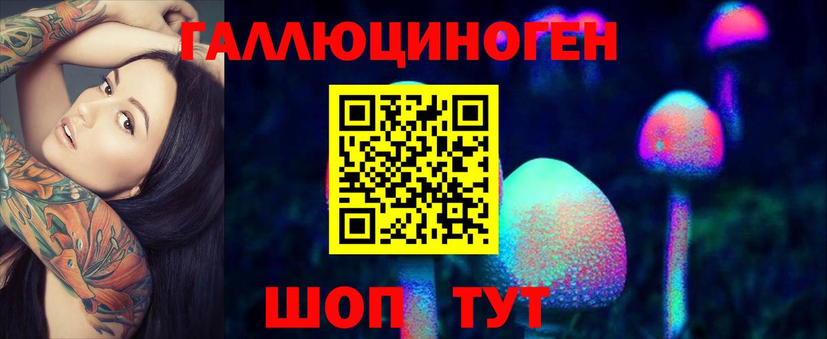 Галлюциногенные грибы MAGIC MUSHROOMS  Псилоцибиновые грибы мухоморы  Елец  Вход с VPN 